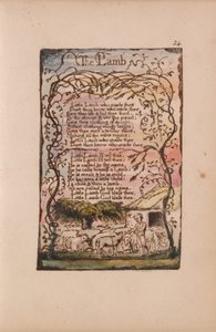 Songs of Innocence and of Experience, Plate 24, The Lamb (Bentley 8) av William Blake