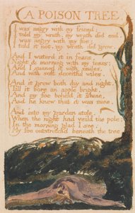 Songs of Innocence and of Experience, Plate 41, A Poison Tree (Bentley 49) av William Blake