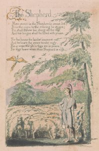 Songs of Innocence and of Experience, tavla 4, "The Shepherd" (Bentley 5) av William Blake