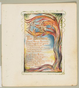 Songs of Innocence and Experience: The Blossom: Merry Merry Sparrow, ca. 1825. av William Blake