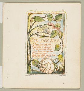 Sånger om oskuld och erfarenhet: The Sick Rose, ca. 1825. av William Blake