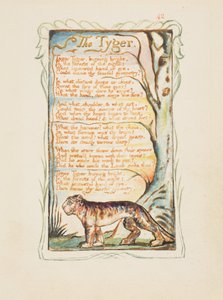 Sånger om oskuld och erfarenhet: Tygern, ca. 1825. av William Blake