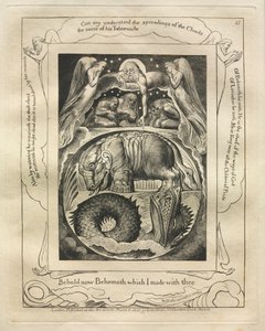 Jobs bok: Pl. 15, Se nu Behemoth som jag gjorde med dig av William Blake