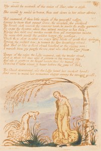 Thelboken, tavla 4, Varför skulle älskarinnan . . . . av William Blake