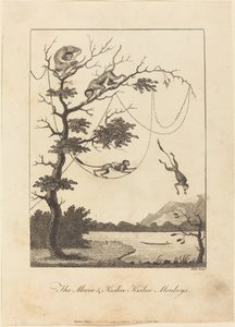 The Mecoo & Kisbee Kishee Monkeys, 1793. av William Blake