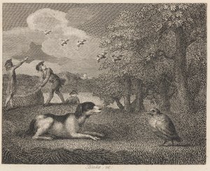Inställningshunden och rapphönan av William Blake