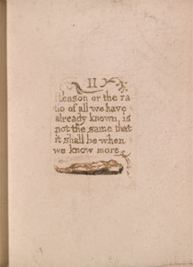 Det finns ingen naturlig religion, skylt 11, II anledning eller förhållandet. . . . (Bentley b4) av William Blake