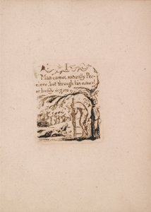 Det finns ingen naturlig religion, tavla 3, I Man kan inte naturligt. . . . (Bentley a4) av William Blake