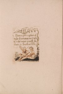 Det finns ingen naturlig religion, tavla 5, III Från en uppfattning . . . . (Bentley a6) av William Blake