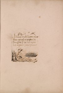 Det finns ingen naturlig religion, tavla 6, IV. Ingen kunde ha . . . . (Bentley a7) av William Blake
