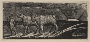 Unyokd Hefers, Loitering Homeward, från Thorntons Pastorals of Virgil, 1821. av William Blake