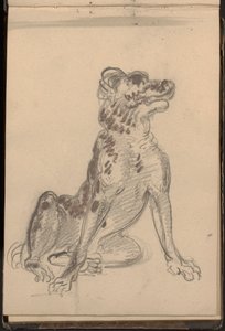 Porträtt av en hund av William Brockedon