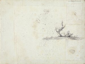 inuti främre omslaget: Sketch of a Tree (upp och ned)