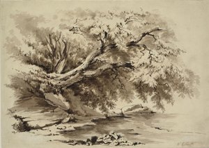 Landskap med träd som hänger över en sjö av William Collingwood Smith
