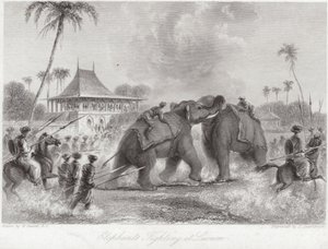 Elefanter slåss vid Lucknow av William Daniell