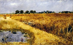 A Field of Corn (olja ombord)