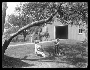 Barn till familjen McCready med hund och valp samlades runt en repgunga utanför en lada, ca 1913 av William Davis Hassler