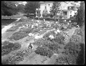 Högvinkelbild av barn som arbetar i trädgården vid Poppenhusen-filialen till Queens Borough Public Library, 14 augusti 1915 av William Davis Hassler
