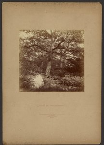Fontainebleau-skogen av William Drooke Harrison