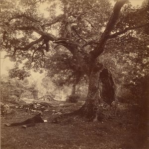 Fontainebleau-skogen av William Drooke Harrison