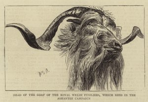 Chef för geten av Royal Welsh Fusiliers, som dog i Ashantee-kampanjen av William Edward Atkins