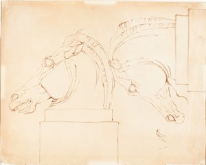 The Horse of Selene från Elgin Marbles [recto] av William Etty
