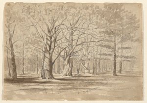 College Woods av William Fowler Hopson
