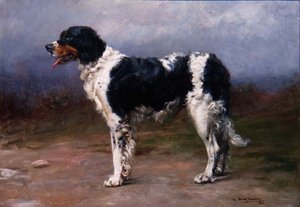 Gundog i ett landskap