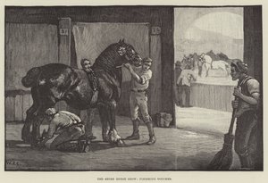 Shire Horse Show, slutbehandlingar