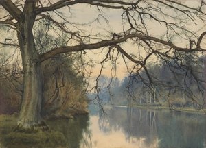 Ett stort träd på en flodstrand, 1892
