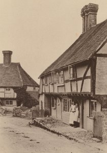 Vid Byworth, nära Petworth, Sussex (svartvitt foto) av William Galsworthy Davie