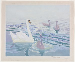 Svanar och Cygnets
