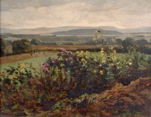 Vilda blommor
