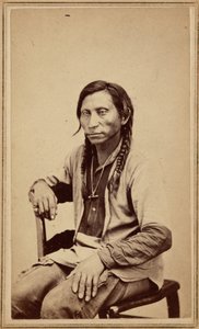 Grå varg,1860-talet (foto) av William Gunnison Chamberlain