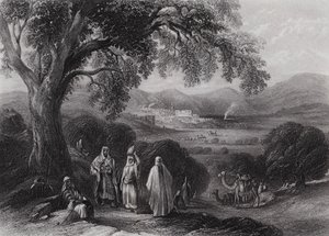 Vale of Nazareth (gravyr) av William H. Bartlett
