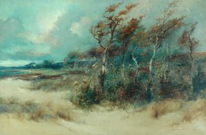 Träd i en sandig gränd, Heysham, 1916