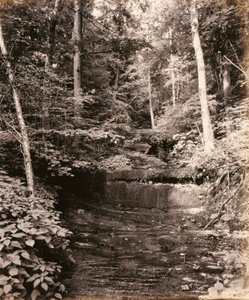Owasco Lake, Cascade Glen, för Lehigh Valley Railroad av William H. Rau