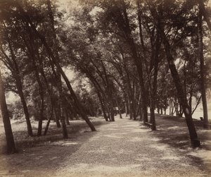 Picknickplatser av William H. Rau