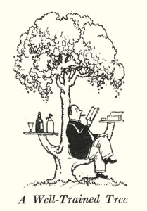 Ett vältränat träd (litho) av William Heath Robinson