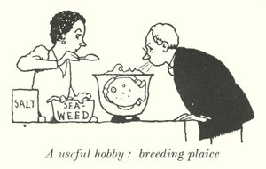En användbar hobby, uppfödning av rödspätta (litho) av William Heath Robinson