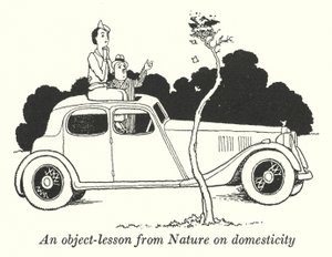 En objektlektion från Nature om hushållning (litho) av William Heath Robinson