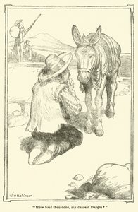 Illustration för Don Quijote (litho) av William Heath Robinson