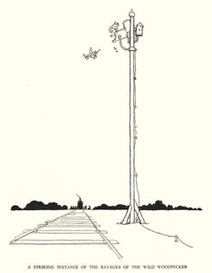 Illustration för Railway Ribaldry av W Heath Robinson (litho) av William Heath Robinson