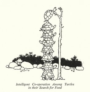 Intelligent samarbete bland sköldpaddor i deras jakt på mat (litho) av William Heath Robinson