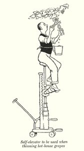 Självhiss för att användas vid gallring av växthusdruvor (litho) av William Heath Robinson