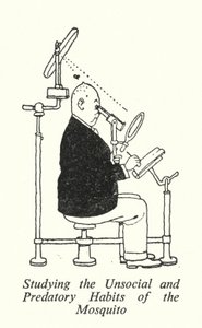 Att studera myggans osociala och rovdjursvanor (litho) av William Heath Robinson