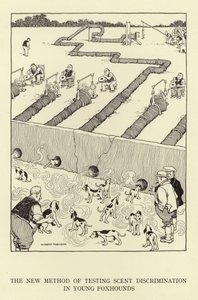 Den nya metoden för att testa doftdiskriminering hos unga rävhundar av William Heath Robinson