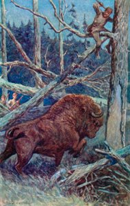Bisonen tafsade marken i sin ilska