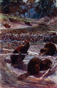 "De bygger en damm över bäcken" (färg litho) av William Henry Charles Groome