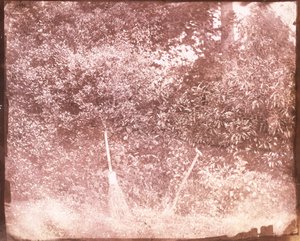 Kvast och spade, 1842 av William Henry Fox Talbot